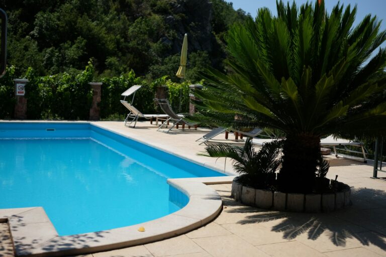 Tipos de palmeras para jardín